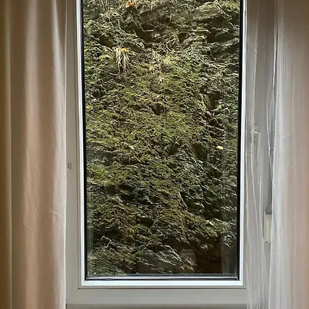 Art - Harz Apartment Zorge